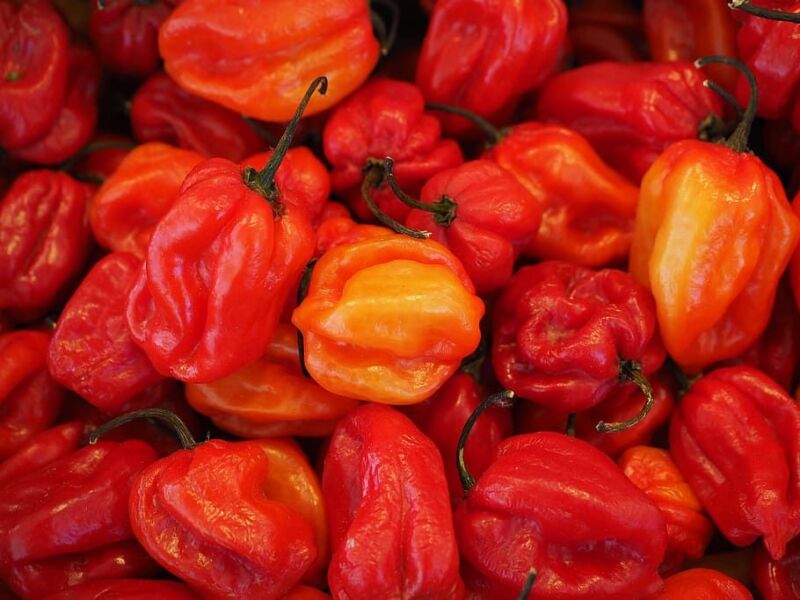 How To Dry Habanero Peppers? A Complete Guide