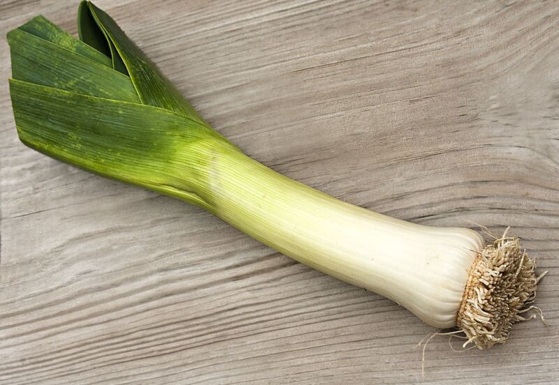 The 7 Best Leek Substitutes for Cooking