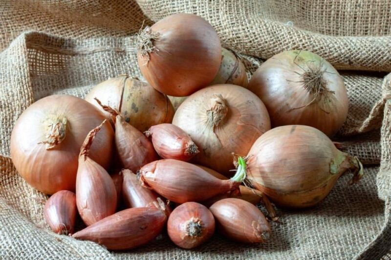 Onions and Shallots