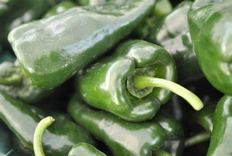 Substitutes for Poblano Peppers